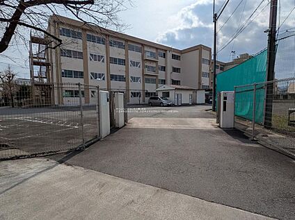 八王子市立四谷中学校 1100m(徒歩14分)