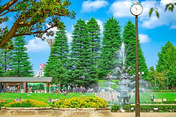 世田谷公園