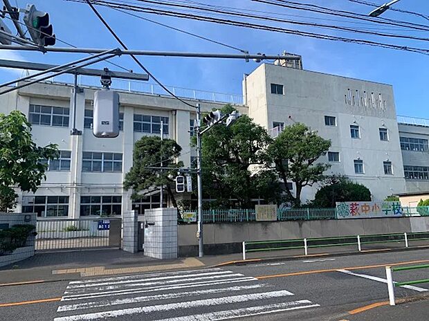 大田区立荻中小学校(約300m)