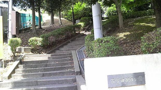荏子田朝日公園(約250m)