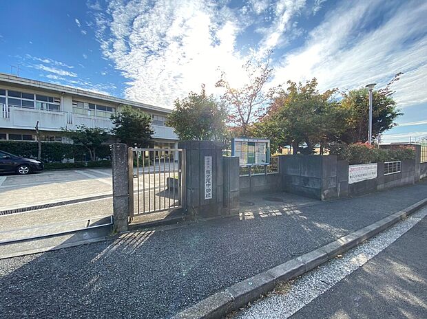 横浜市立市ケ尾中学校（約240m）