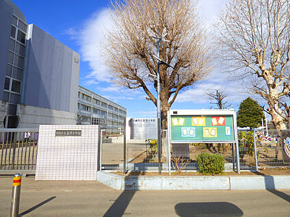 川崎市立高津小学校 800m(徒歩10分)