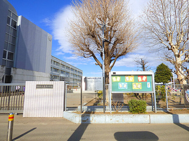 川崎市立高津小学校(約800m)