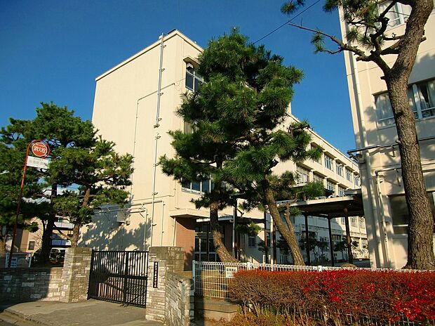 横浜市立新田中学校(約2,200m)