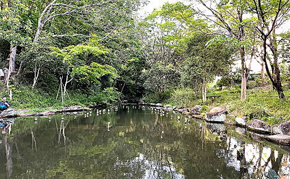 むじなが池公園 350m(徒歩5分)