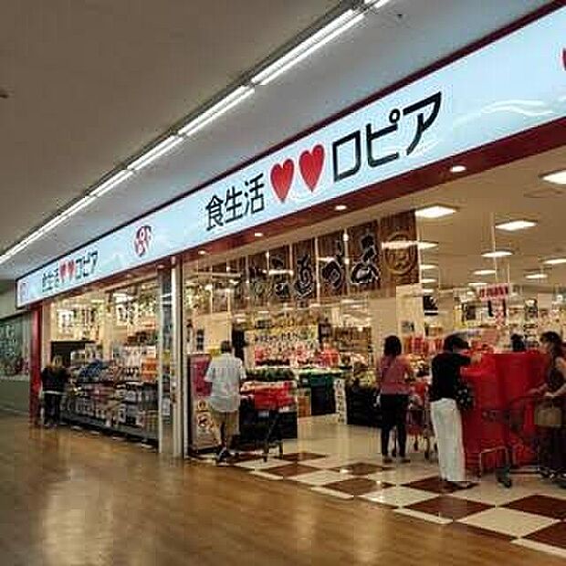 ロピア小田栄店(約560m)