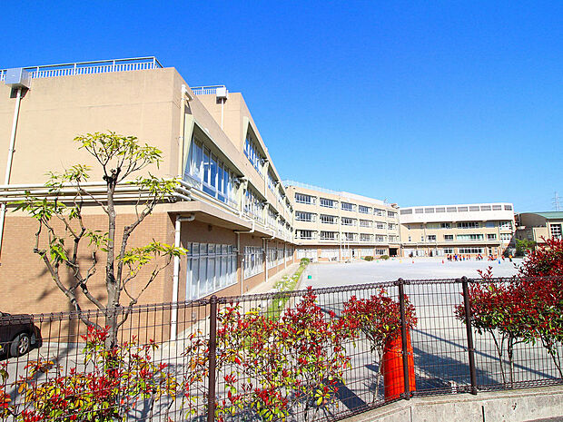 川崎市立橘小学校(約870m)