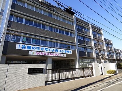 川崎市立子母口小学校 1070ｍ(徒歩14分)
