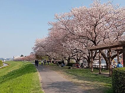 丸子橋公園 350ｍ(徒歩5分)