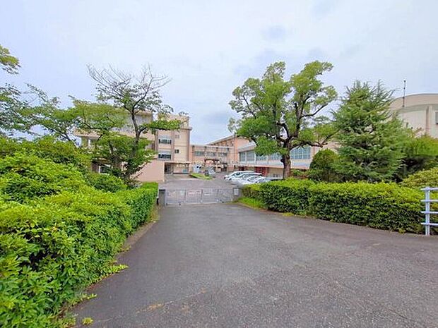 東郷町立諸輪小学校まで700m
