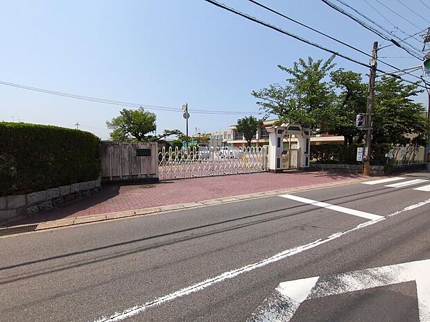 名古屋市立平子小学校（約350m）