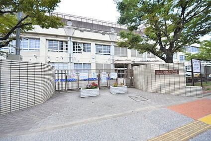 福岡市立松島小学校 徒歩716m