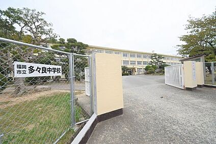 多々良中学校 徒歩1311m
