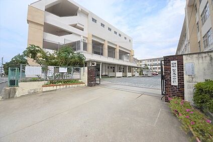 福岡市立賀茂小学校 徒歩432m