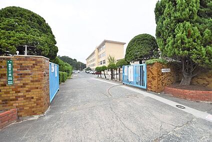 福岡市立美和台小学校 徒歩571m