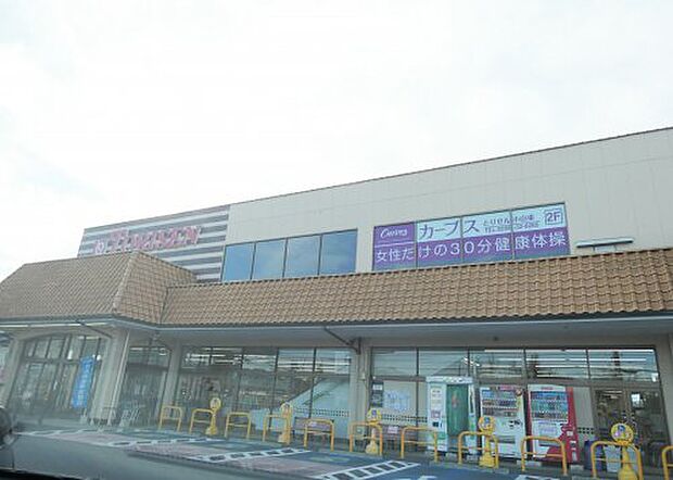 とりせん 小山東店