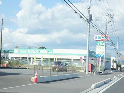 ドラッグセイムス 田沼店 徒歩6555m