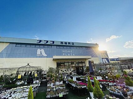 ホームプラザナフコ西福岡店 1312m