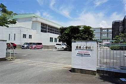 糸島市立前原小学校 404m
