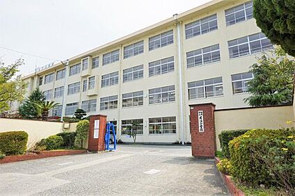 福岡市立片江小学校 800m
