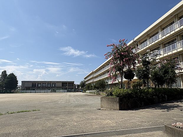 所沢市立南陵中学校(約300m)