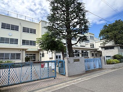 区立北中野中学校 130m(徒歩2分)