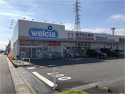 ウエルシア 長泉中土狩店 約860m～890m(徒歩 約11～12分)