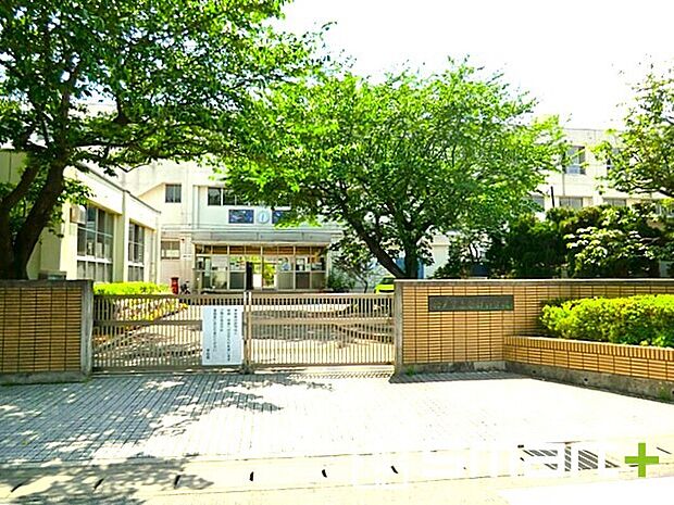 南部小学校（約990m）