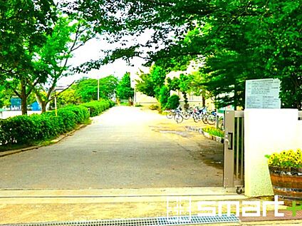 増尾西小学校 300