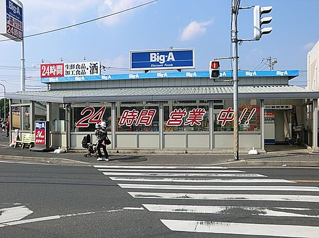 ビッグ・エー松戸八ケ崎店(約700m)