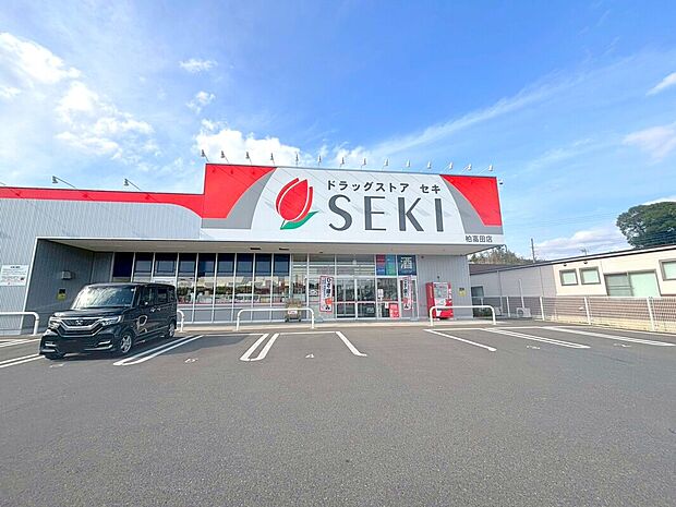 ドラッグストアセキ　柏高田店（約450m）