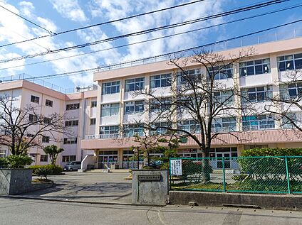 新潟市立桜が丘小学校 740m～850m(徒歩10分～11分)