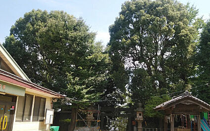 杉山神社保育園 徒歩963m