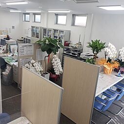 松本不動産株式会社