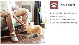 アルベロアルト
