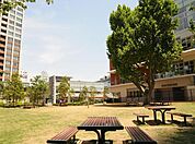 プラタナス公園 183m