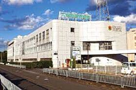 ハーモニーテラス桃山町西町  ｜ 京都府京都市伏見区桃山町西町（賃貸アパート1R・2階・20.39㎡） その17