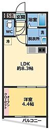 メゾン・ドゥ・アッシュ習志野 1LDKの間取図画像
