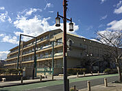 神戸市立灘小学校 335m