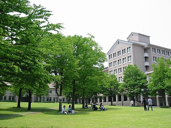 画像29:首都大学東京 250m