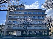 外観・土地