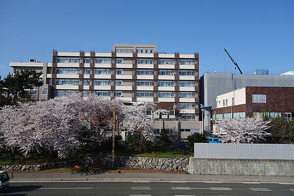 画像29:国立新潟大学歯学部 861m