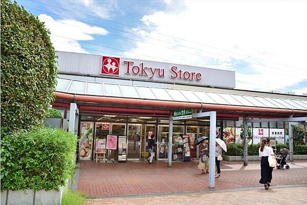 ブランズ市が尾ヒルトップ