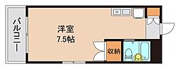 ヤングコート市川 ワンルームの間取図画像