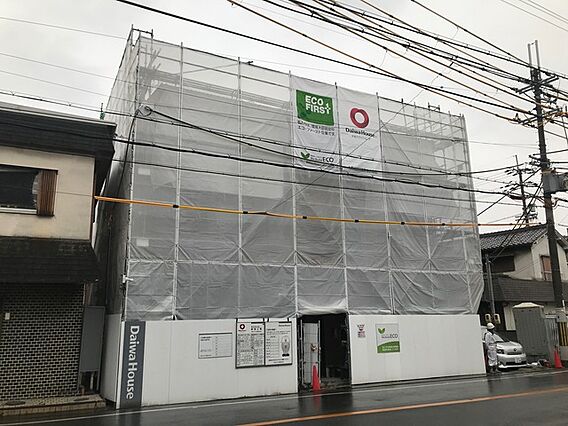 プルーニャ_トップ画像