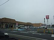 とりせん結城店 1379m