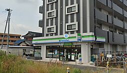 セントポーリアII