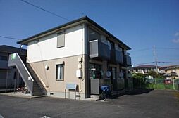 ドルフ浅香