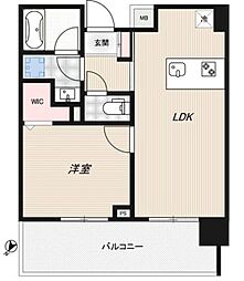 ロイジェント豊洲 1LDKの間取図画像
