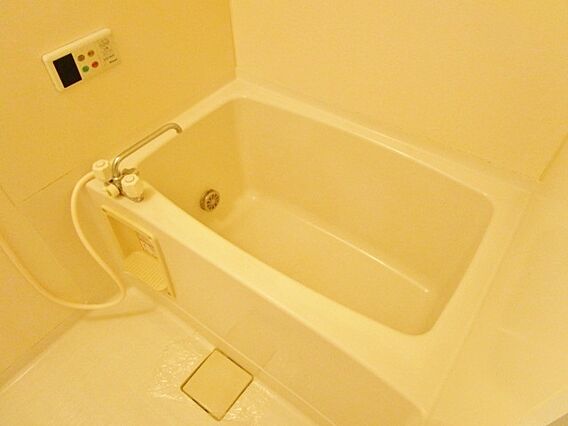 FOLIAR_その他_0
